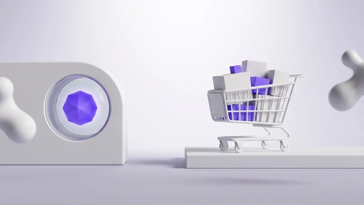 Showcase website or e-commerce website: which one is right for your business?