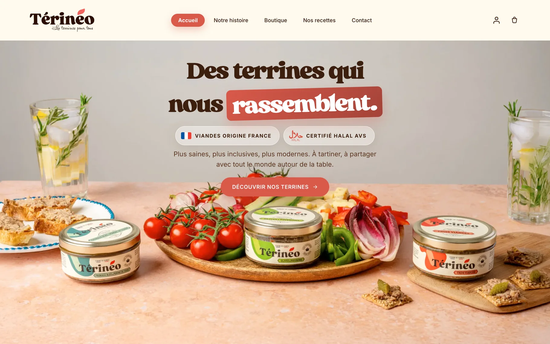 Site réalisé pour Térinéo