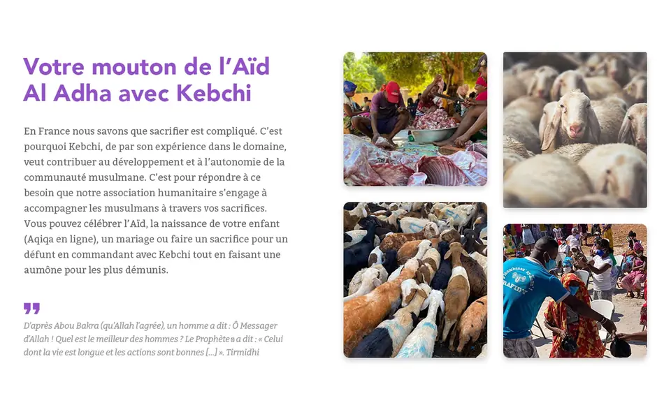 Section « Votre mouton de l’Aïd » du site Kebchi