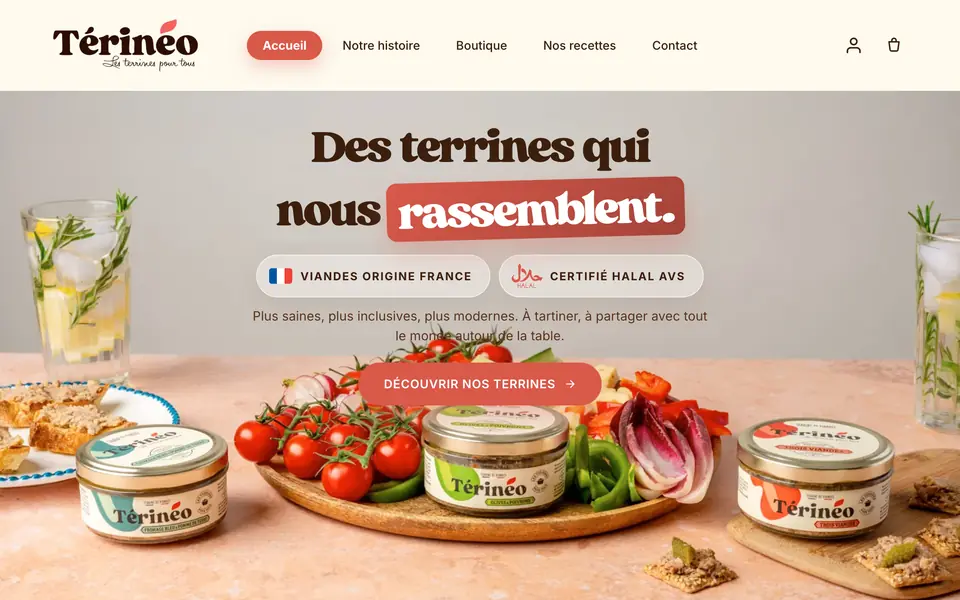 Site réalisé pour Térinéo