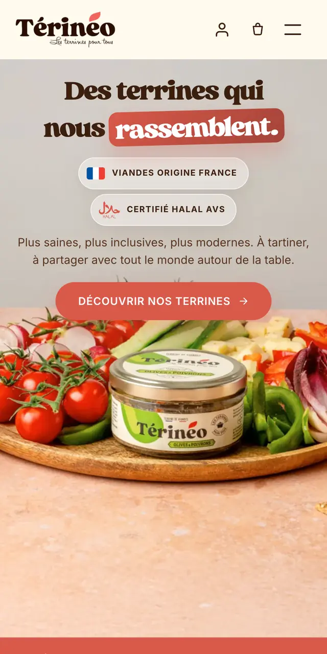 Version mobile du site Térinéo